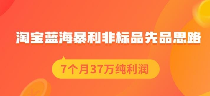 盗坤淘宝蓝海暴利非标品先品思路，7个月37万纯利润，压箱干货分享！【付费文章】-网创社区