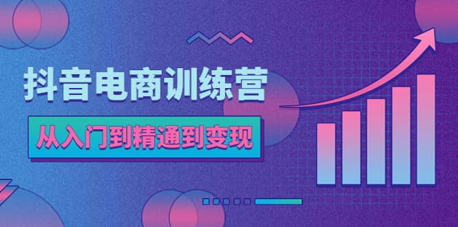 抖音电商训练营：从入门到精通，从账号定位到流量变现，抖店运营实操-网创社区
