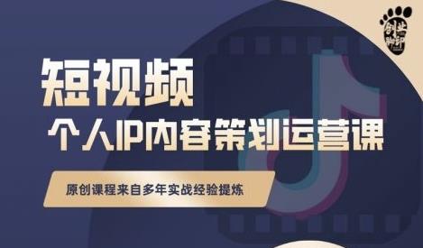 抖音短视频个人ip内容策划实操课，真正做到普通人也能实行落地-网创社区