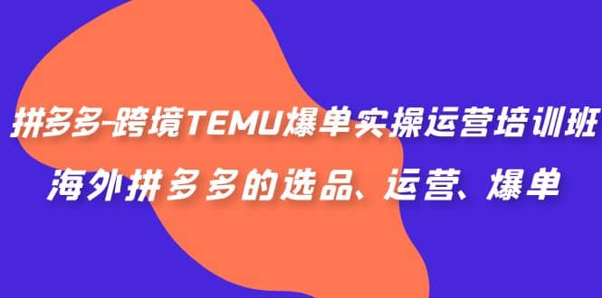 拼多多-跨境TEMU爆单实操运营培训班，海外拼多多的选品、运营、爆单-网创社区
