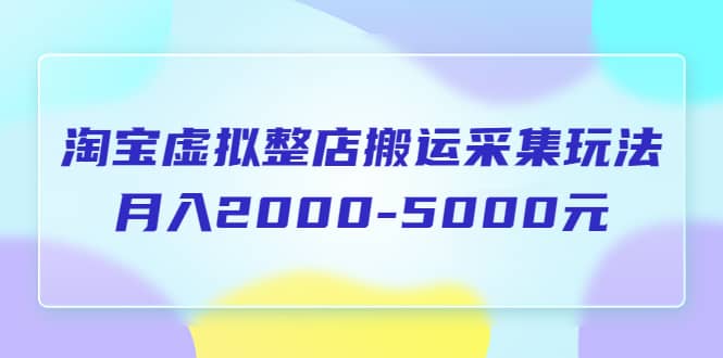 淘宝虚拟整店搬运采集玩法分享课：月入2000-5000元（5节课）-网创社区