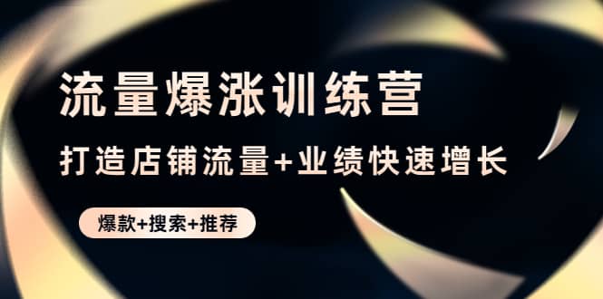 流量爆涨训练营：打造店铺流量+业绩快速增长 (爆款+搜索+推荐)-网创社区