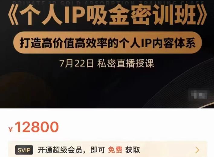 个人IP吸金密训班，打造高价值高效率的个人IP内容体系（价值12800元）-网创社区