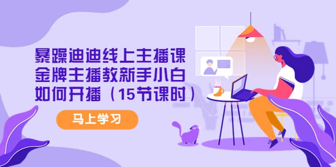 暴躁迪迪线上主播课，金牌主播教新手小白如何开播（15节课时）-网创社区