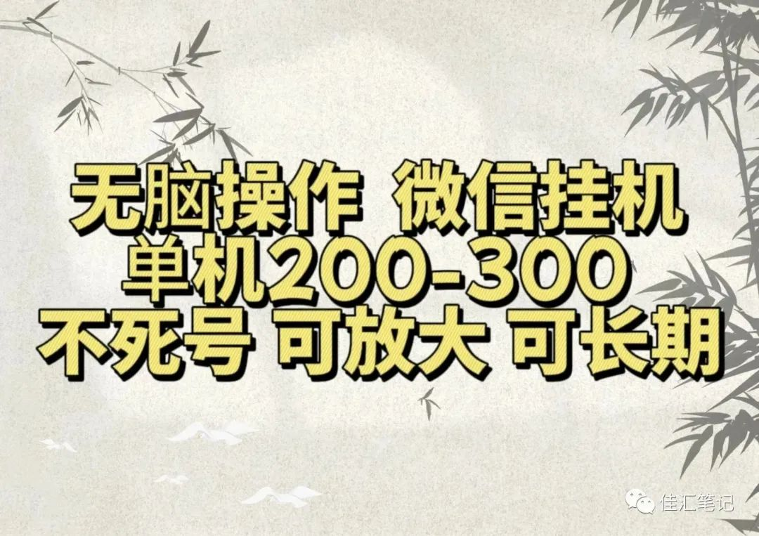 无脑操作微信视频号挂机单机200-300一天，不死号，可放大，工作室实测-网创社区