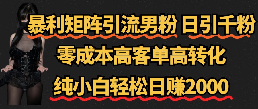 暴利矩阵引流男粉（日引千粉），零成本高客单高转化，纯小白轻松日赚2000+-网创社区