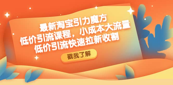 最新淘宝引力魔方低价引流实操：小成本大流量-网创社区