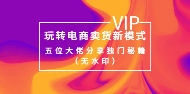 某收费培训：玩转电商卖货新模式，五位大佬分享独门秘籍（无水印）-网创社区