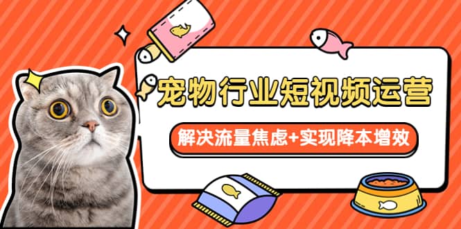 宠物/行业短视频运营 流量增长的一层窗户纸 解决流量焦虑+实现降本增效-网创社区