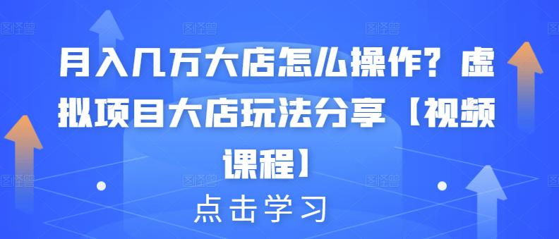 月入几万大店怎么操作？虚拟项目大店玩法分享【视频课程】-网创社区