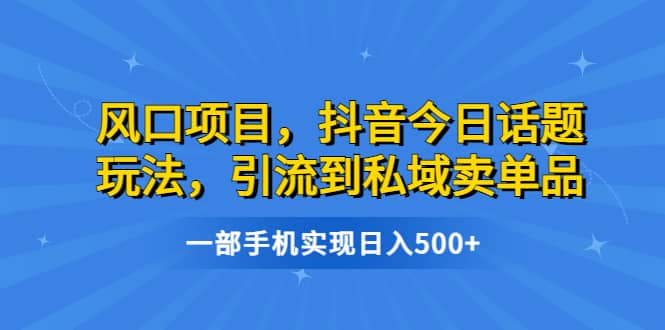 风口项目，抖音今日话题玩法，引流到私域卖单品，一部手机实现日入500+-网创社区