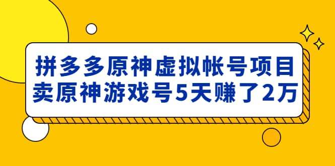 外面卖2980的拼多多原神虚拟帐号项目-网创社区