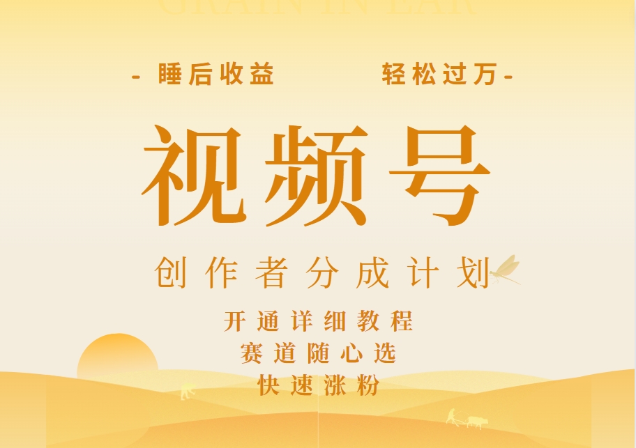 详解视频号创作者分成计划，暴力起号，可同步多平台，实现睡后收入2W+，看懂即可操作！-网创社区