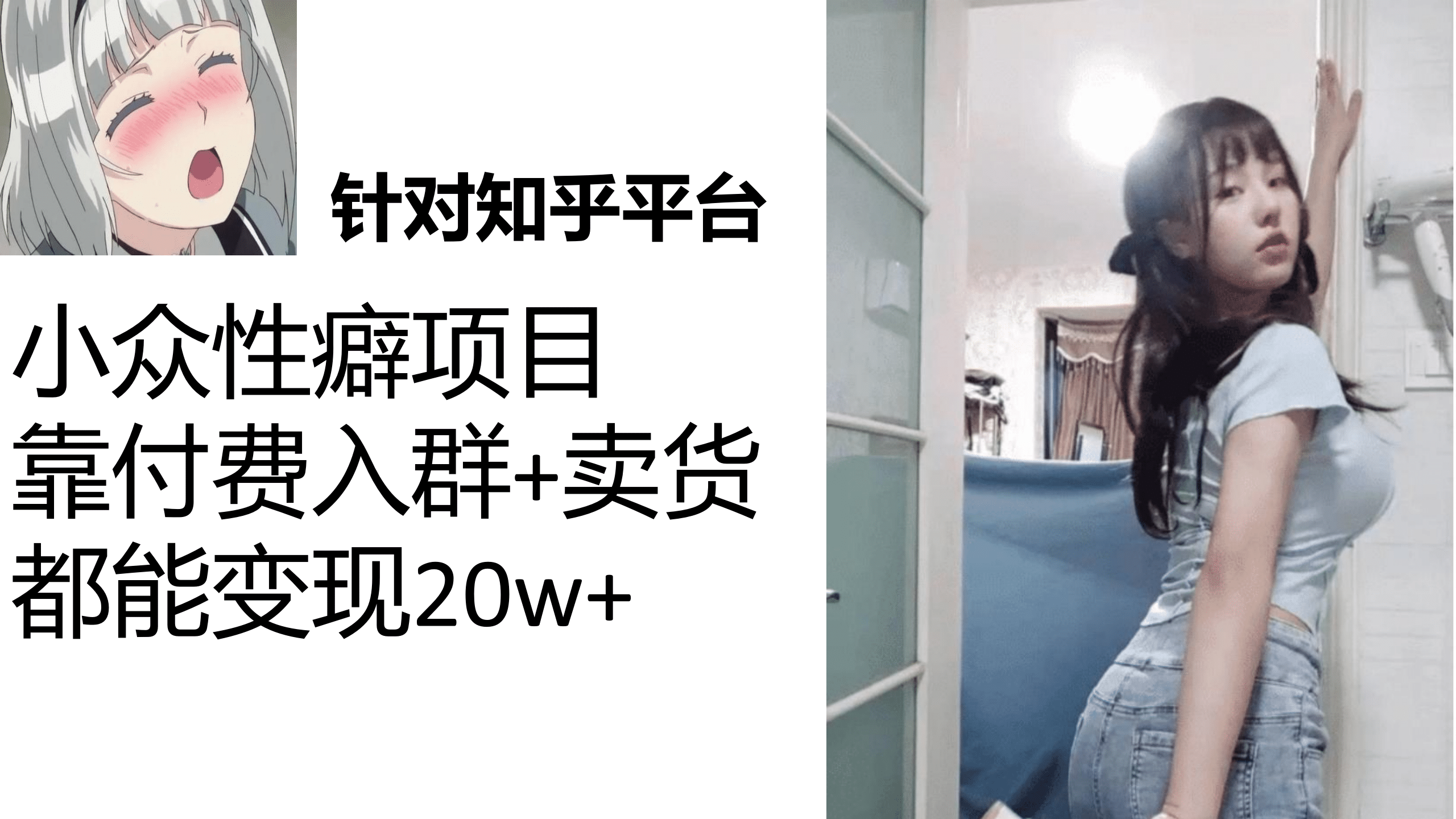 知乎小众性癖项目，Lsp的钱才是最好赚的，付费建群+卖货变现20w-网创社区
