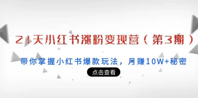 21天小红书涨粉变现营（第3期）：带你掌握小红书爆款玩法，月赚10W+秘密-网创社区