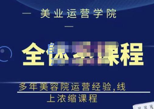 网红美容院全套营销落地课程，多年美容院运营经验，线上浓缩课程-网创社区