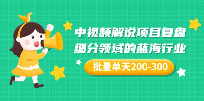 某付费文章：中视频解说项目复盘：细分领域的蓝海行业 批量单天200-300收益-网创社区