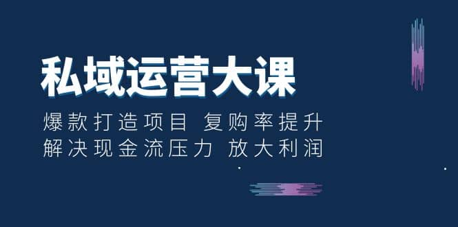 私域运营大课：爆款打造项目 复购率提升 解决现金流压力 放大利润-网创社区