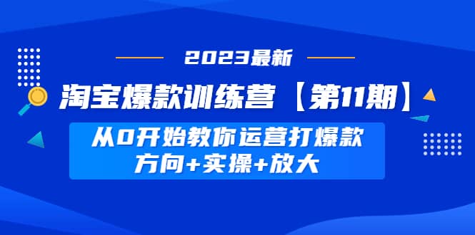 淘宝爆款训练营【第11期】 从0开始教你运营打爆款，方向+实操+放大-网创社区