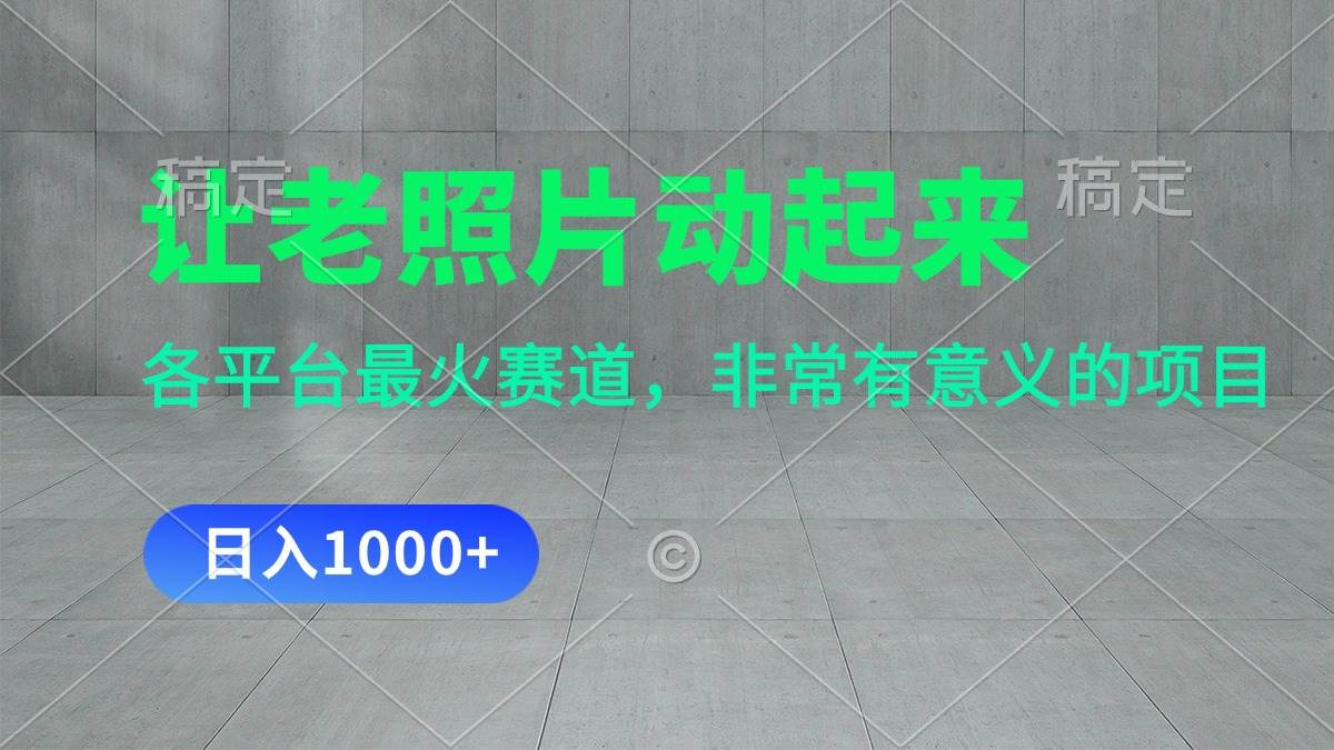让老照片动起来，一天变现1000+，各平台最火赛道，看完就会-网创社区