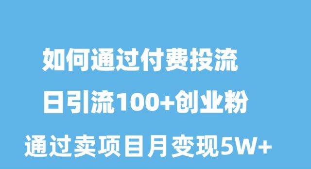 如何通过付费投流日引流100+创业粉月变现5W+-网创社区