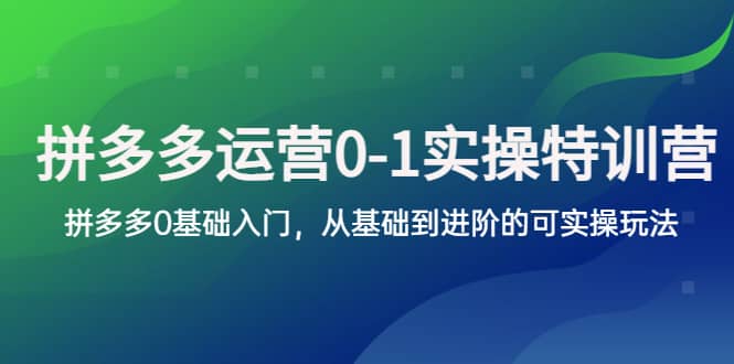 拼多多-运营0-1实操训练营，拼多多0基础入门，从基础到进阶的可实操玩法-网创社区