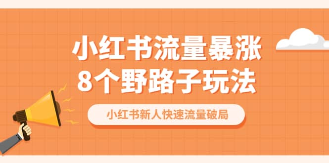 小红书流量-暴涨8个野路子玩法：小红书新人快速流量破局（8节课）-网创社区