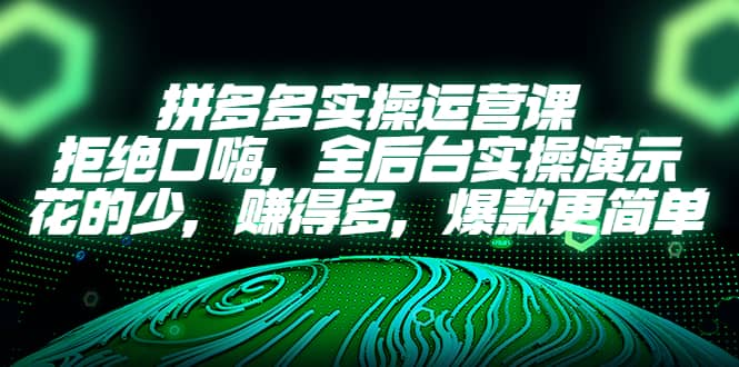 拼多多实操运营课：拒绝口嗨，全后台实操演示，花的少，赚得多，爆款更简单-网创社区