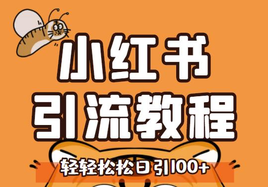 小红书运营引流全系列课程，每天引流100精准粉-网创社区