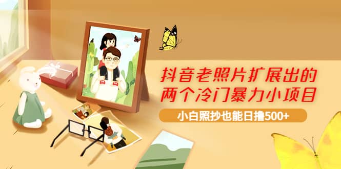抖音老照片扩展出的两个冷门暴力小项目，小白照抄也能日撸500+-网创社区
