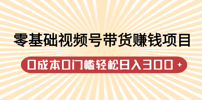 零基础视频号带货赚钱项目，0成本0门槛轻松日入300+【视频教程】-网创社区