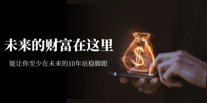 某收费文章《未来的财富在这里》能让你至少在未来的10年站稳脚跟-网创社区