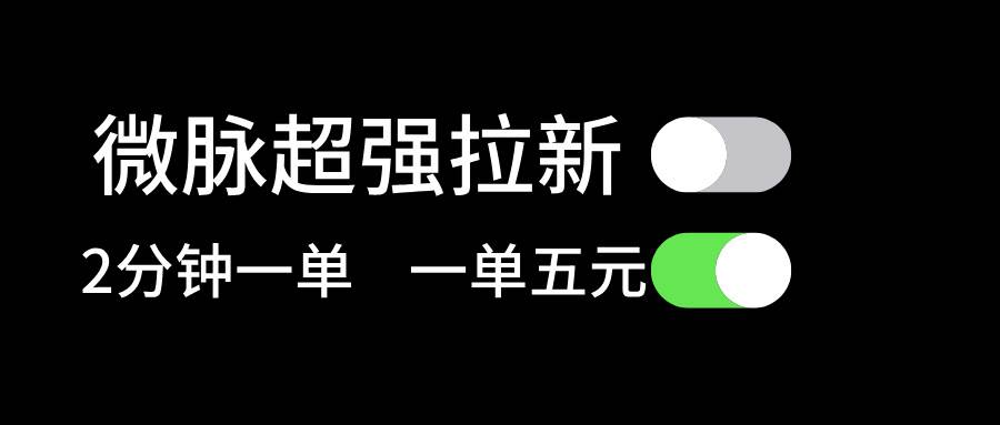 微脉超强拉新， 两分钟1单， 一单利润5块，适合小白-网创社区