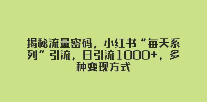 揭秘流量密码，小红书“每天系列”引流，日引流1000+，多种变现方式-网创社区