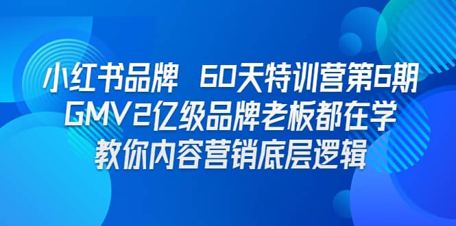 小红书品牌 60天特训营第6期 GMV2亿级品牌老板都在学 教你内容营销底层逻辑-网创社区