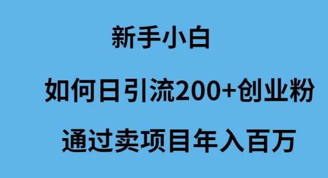 新手小白如何日引流200+创业粉通过卖项目年入百万-网创社区
