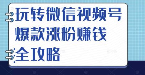 玩转微信视频号爆款涨粉赚钱全攻略，让你快速抓住流量风口，收获红利财富-网创社区