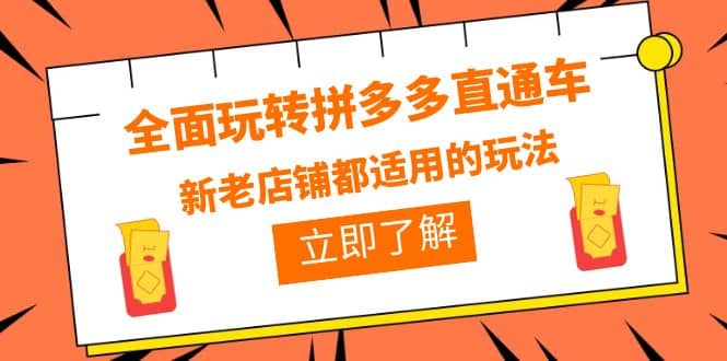 全面玩转拼多多直通车，新老店铺都适用的玩法（12节精华课）-网创社区