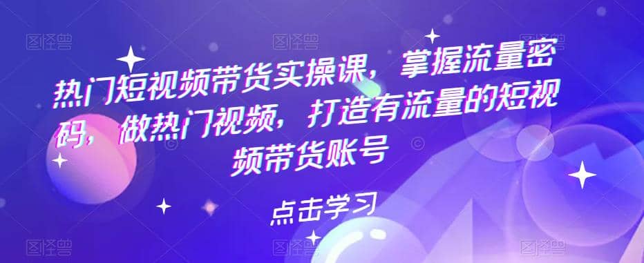热门短视频带货实战 掌握流量密码 做热门视频 打造有流量的短视频带货账号-网创社区