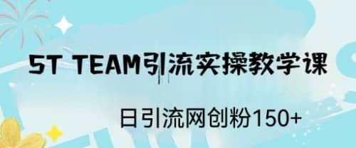 ST TEAM引流实操课，日引流网创粉100+-网创社区