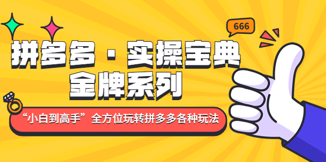 拼多多·实操宝典：金牌系列“小白到高手”带你全方位玩转拼多多各种玩法-网创社区