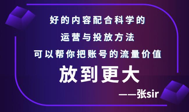 张sir账号流量增长课，告别海王流量，让你的流量更精准-网创社区