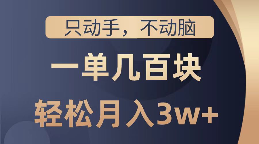 只动手不动脑，一单几百块，轻松月入2w+，看完就能直接操作，详细教程-网创社区