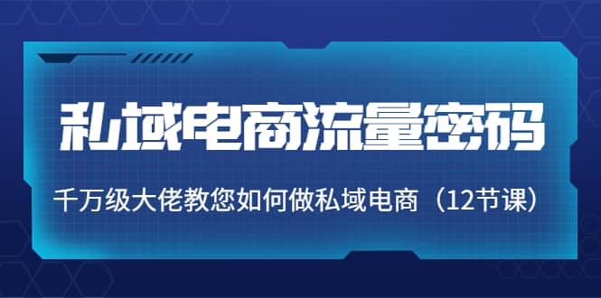 私域电商流量密码：千万级大佬教您如何做私域电商（12节课）-网创社区