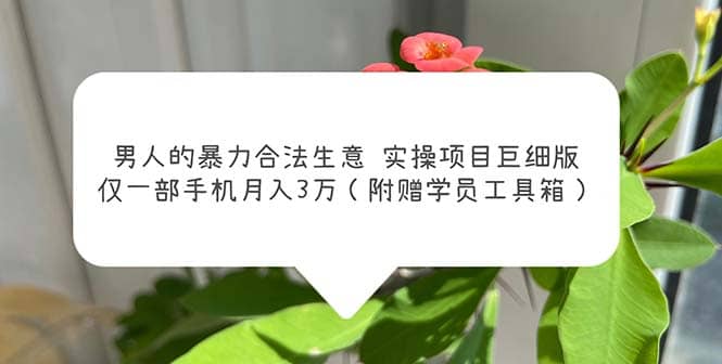 男人的暴力合法生意实操项目巨细版：仅一部手机月入3w（附赠学员工具箱）-网创社区