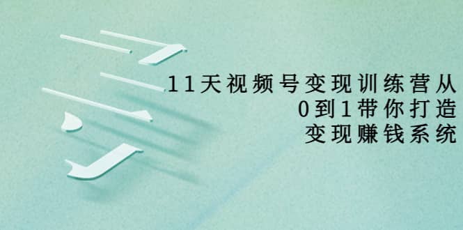 好望角·11天视频号变现训练营，从0到1打造变现赚钱系统（价值398）-网创社区