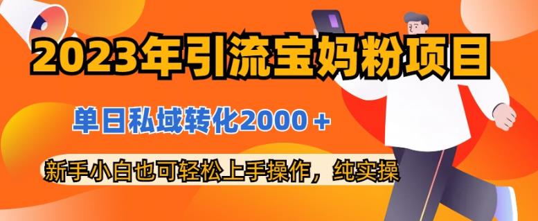 2023年引流宝妈粉项目，单日私域转化2000＋，新手小白也可轻松上手操作，纯实操-网创社区