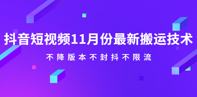 抖音短视频11月份最新搬运技术，不降版本不封抖不限流！【视频课程】-网创社区