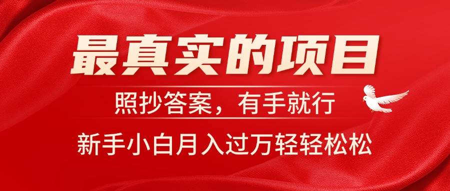 最真实的项目，照抄答案，有手就行，新手小白月入过万轻轻松松-网创社区