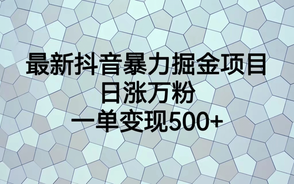 最火热的抖音暴力掘金项目，日涨万粉，多种变现方式，一单变现可达500+-网创社区